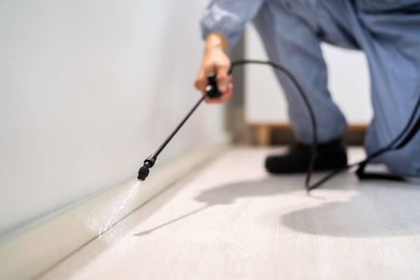 Licensed Termite Control service in Adrian, MO - Nex Pest Control