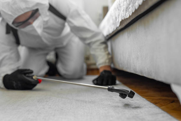 Professional Termite Control technician working in Adrian, MO