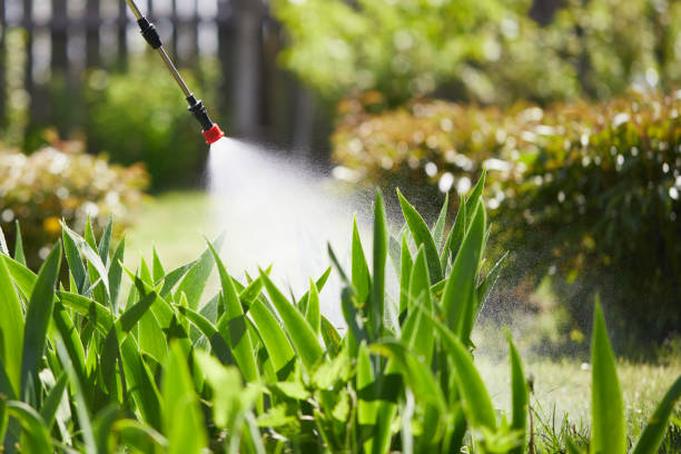 24/7 Emergency Termite Control experts in Adrian, MO