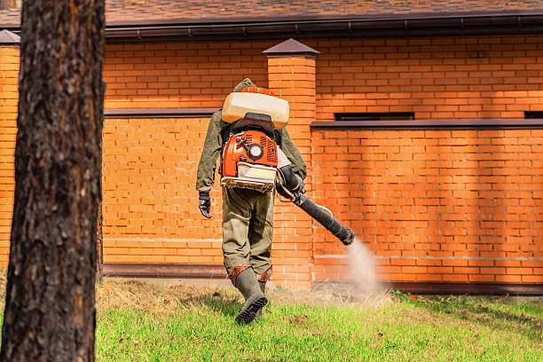 Top rated local Termite Control specialists in Adrian, MO